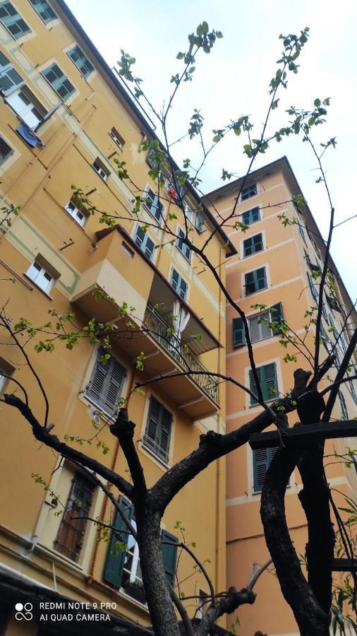 La Nina Leilighet Camogli Eksteriør bilde